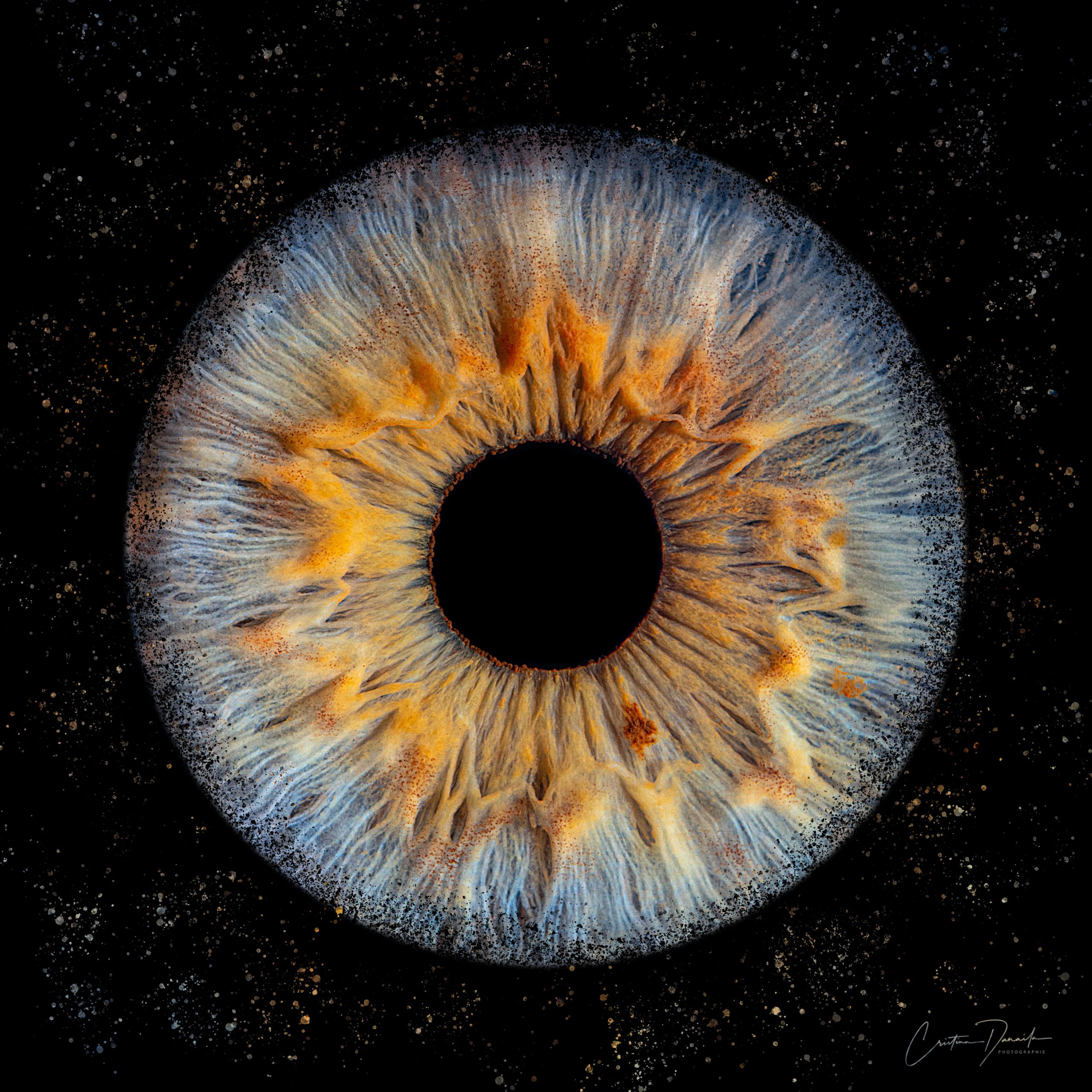 Elodie Lunettes etc jpg