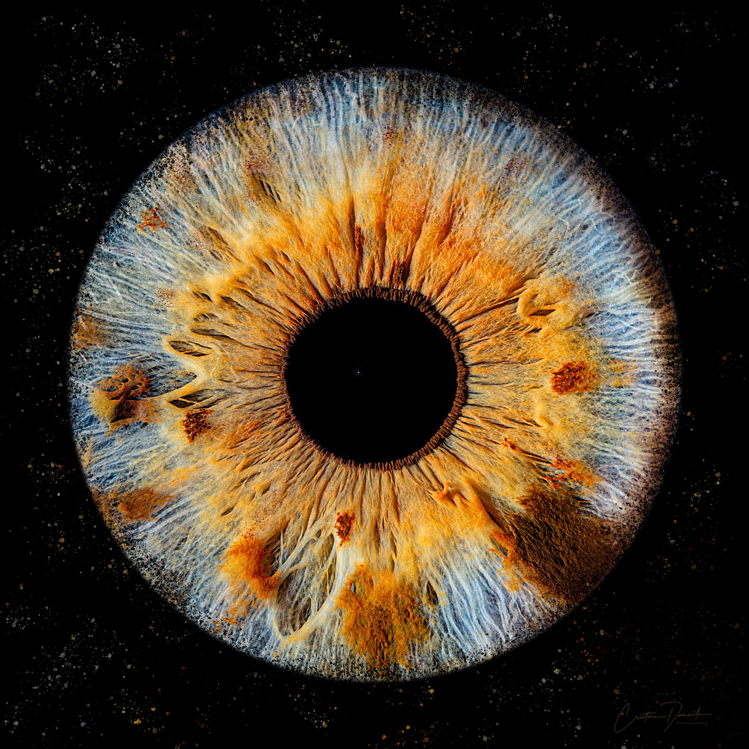 nicolas de chenerilles jpg 2